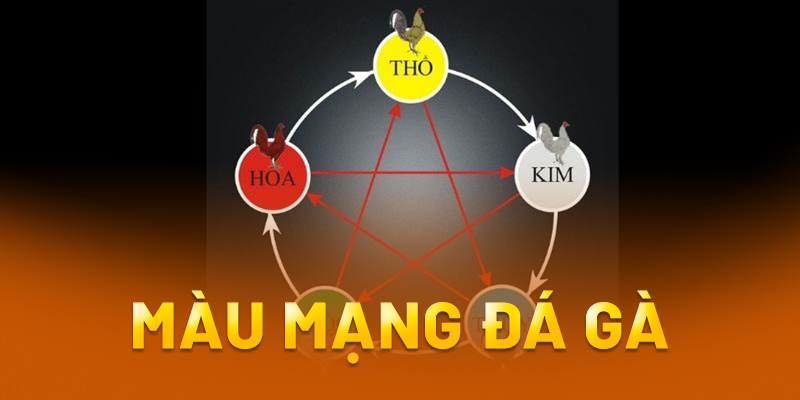 Màu mạng đá gà là sao?